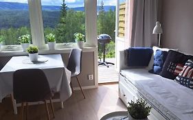 Mysig Laegenhet Med Fjaellutsikt I Saelen